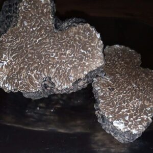 Tartufo Nero Estivo Fresco (Tuber aestivum Vitt.) – Extra - 100 grammi / Oltre