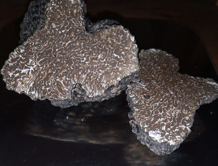 Tartufo Nero Estivo Fresco (Tuber aestivum Vitt.) – Extra - 100 grammi / Oltre