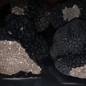 TARTUFO NERO ESTIVO